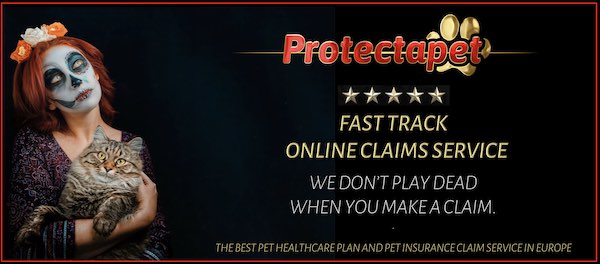 Lady in halloween outfit holding a cat advertising Protectapets fast track online claims service